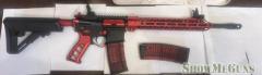 Free State AR15 2 mags $1100