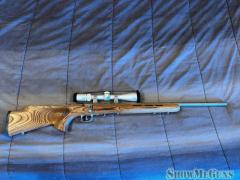 Savage model 93R17 BTVSS 17HMR stainless