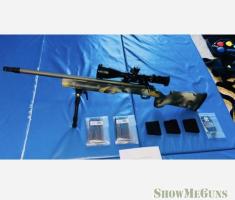 Remington 700, .308 WIN custom built