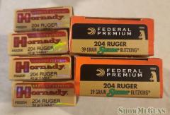 Hornady and Federal 204 Ruger