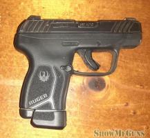 Ruger LCP Max 380