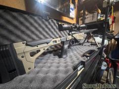 Savage Axis II Precision