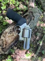 Ruger Super Redhawk Alaskan 454 Casull
