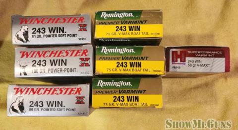 243 Varmint ammo