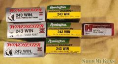 243 Varmint ammo
