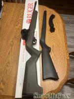 Ruger 10/22