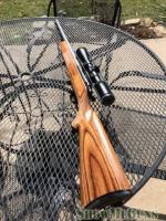 Kimber of Oregon