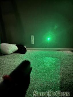 Glock 43 upgraded trigger, laser light and mag extension - 6/6