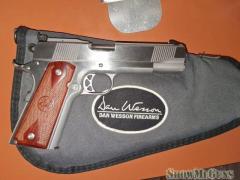 Dan Wesson 10mm