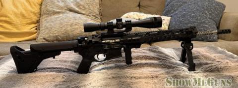 Spikes custom AR 15 - 2/5