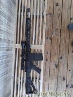 Palmetto ar10 308
