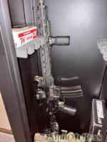 Ar 15 with romeo and juliet sights