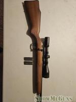 Marlin 25N