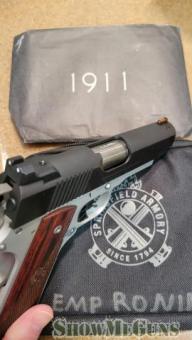 Springfield Armory Ronin 9mm - 4/5