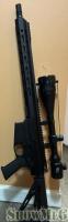 Palmetto Ar10