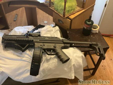 Gsg 22lr - 2/2