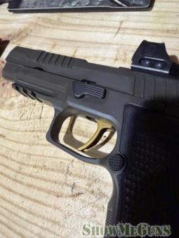 Axis legion P320 with Romeo Pro - 9/12